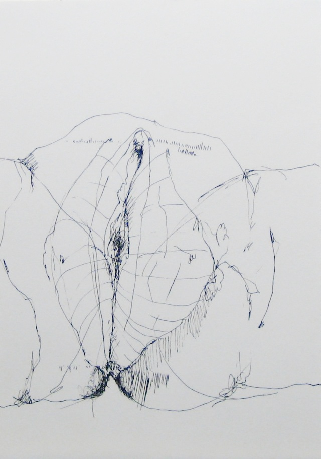 2012-Zeichnung-Sex-26-vulva-muschi-scheide-vagina-Luisa-Pohlmann-Kunst-Berlin